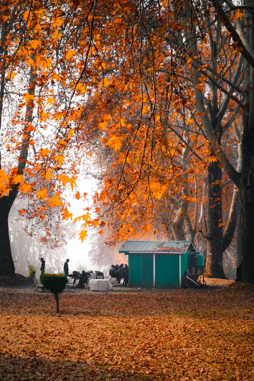 A vibrant autumn scene in Srinagar featuring a group of people near a small building under colorful fall foliage.